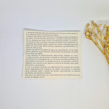 Load image into Gallery viewer, Seeds Rosary - Tears of Our Lady of Fatima